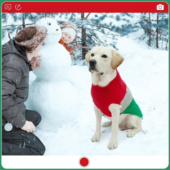 EXPAWLORER Dog Sweater - Large Dog Fall Sweaters for Dogs Girls Boys,Classic - Picture 3 of 7